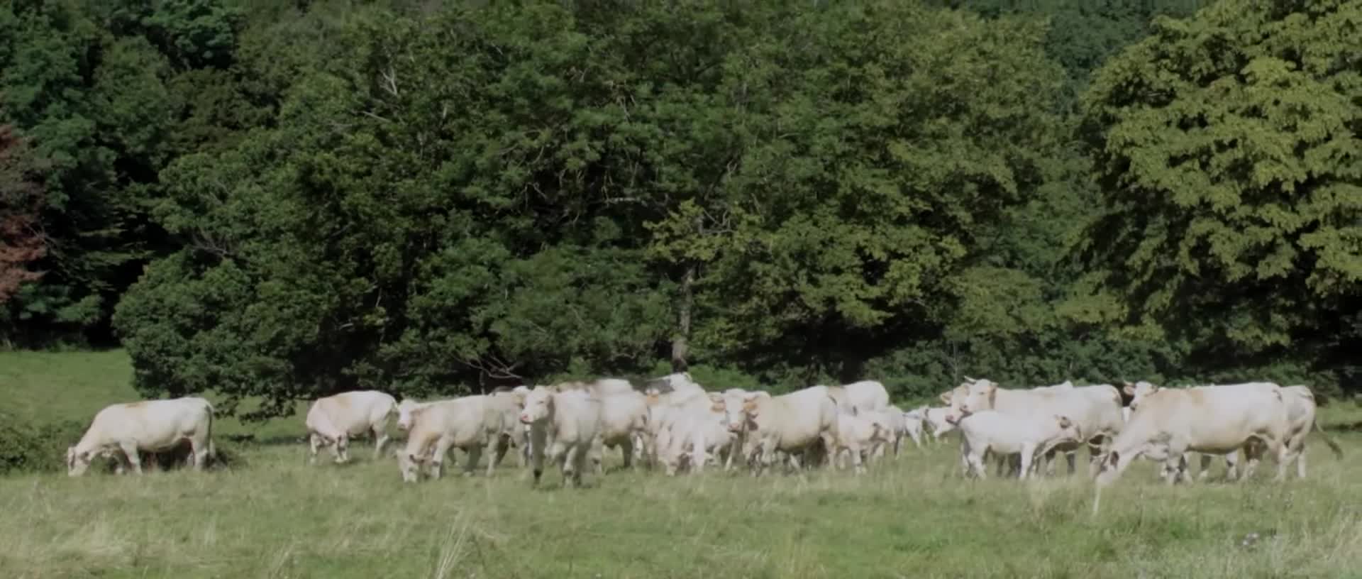Extrait vidéo du film  La Chanson de Jérôme