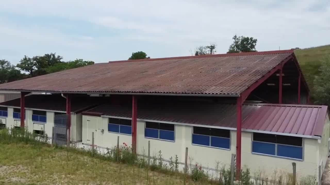 Extrait vidéo du film  L’œuf et la poule