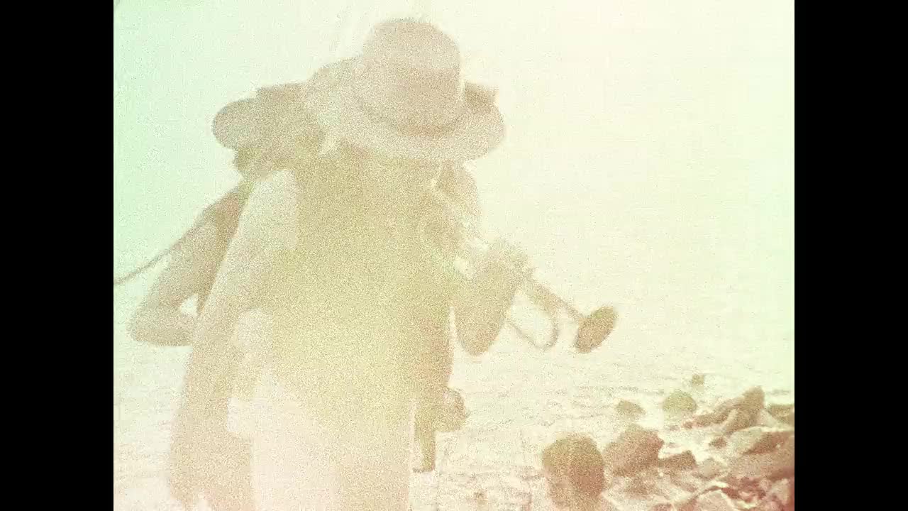 Un extrait du film  Rolling thunder revue : a bob dylan story by martin scorsese