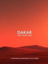 voir la fiche complète du film : Dakar Chronicles
