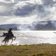 photo du film Toutes pour une