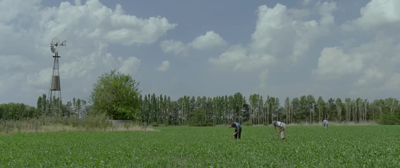 Extrait vidéo du film  Désirs interdits