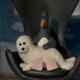 photo du film Wallace et Gromit : La Palme de la vengeance