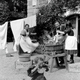 photo du film Lumière, l’aventure continue