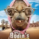 photo du film Les Bodin’s partent en vrille