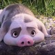 photo du film Vaiana 2