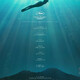 photo du film Parthenope