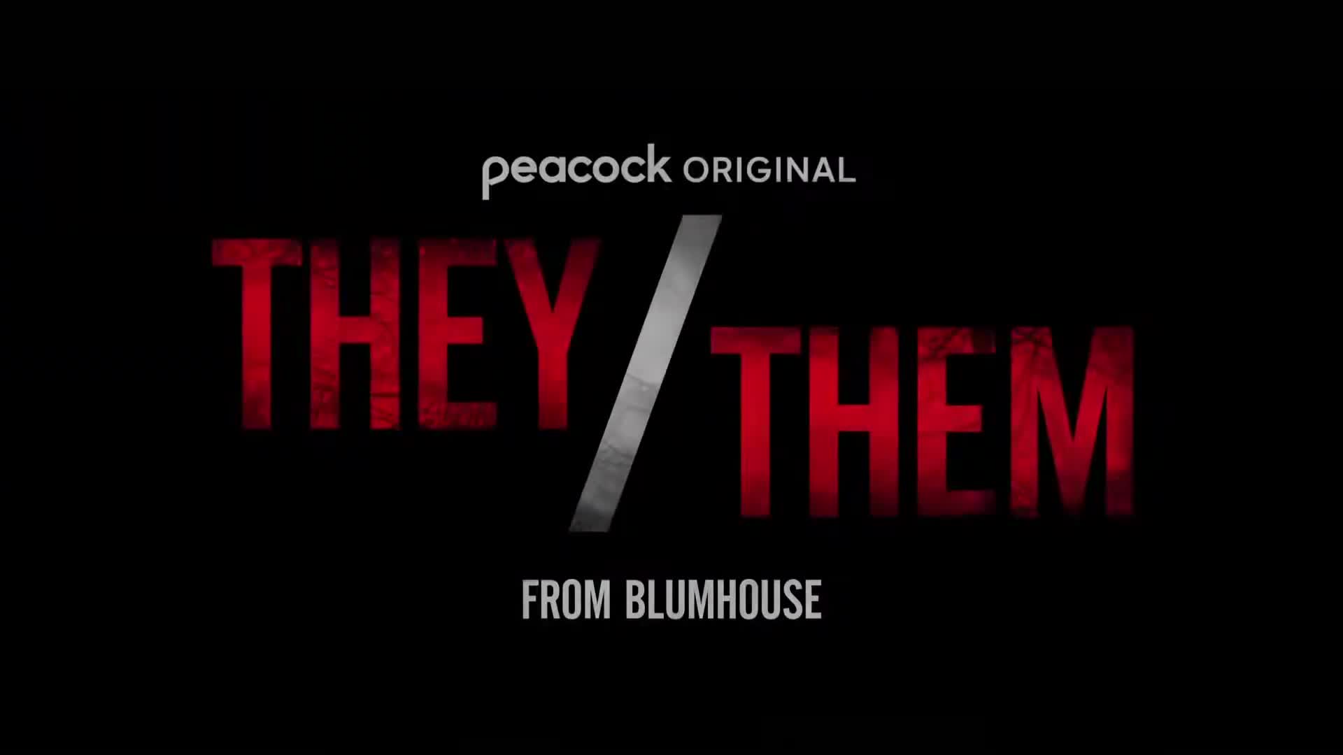 Extrait vidéo du film  They/Them