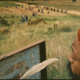 photo du film Harvest