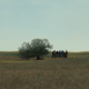 photo du film Fanon