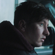 photo du film Le Clan des bêtes