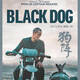 photo du film Black Dog