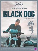 voir la fiche complète du film : Black Dog