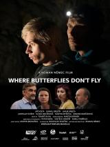 voir la fiche complète du film : Where Butterflies Don t Fly