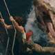 photo du film Jurassic World : Renaissance
