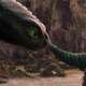 photo du film Dragons