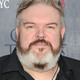 Voir les photos de Kristian Nairn sur bdfci.info