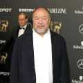 Ai Weiwei