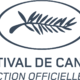 photo du film Un triomphe