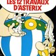 photo du film Les 12 travaux d'astérix