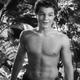Voir les photos de Johnny Sheffield sur bdfci.info