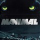 photo de la série Manimal