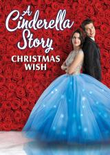 voir la fiche complète du film : Comme cendrillon : un vœu pour noël