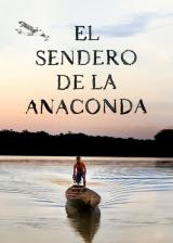 Le Chemin De L anaconda