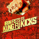 photo du film Iron fists and kung-fu kicks