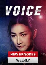 Voice
