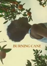 voir la fiche complète du film : Burning Cane