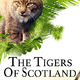 photo du film The Tigers of Scotland