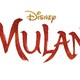 photo du film Mulan