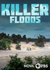 voir la fiche complète du film : NOVA : Killer Hurricanes