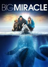 voir la fiche complète du film : Big Stone Gap