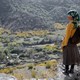 photo du film Honeyland