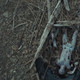 photo du film Jamie Marks is Dead
