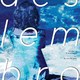 photo du film Deslembro