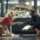 photo du film Wonder Woman 1984
