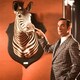 photo du film Oss 117 : Alerte rouge en Afrique noire