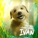 photo du film Le Seul et unique Ivan