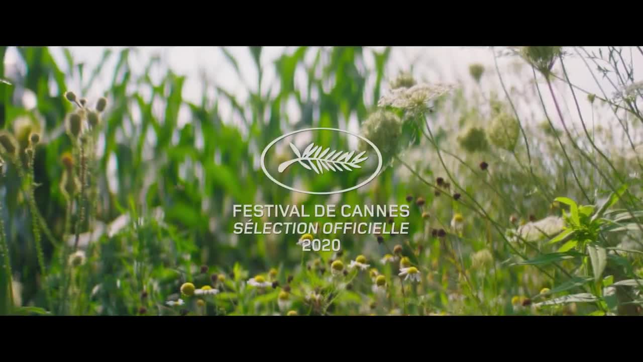 Extrait vidéo du film  Falling