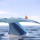photo du film La Baleine et l'escargote