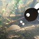 photo du film La Baleine et l'escargote