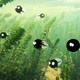 photo du film La Baleine et l'escargote