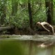 photo du film Un monde ailleurs