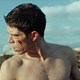 photo du film The Van