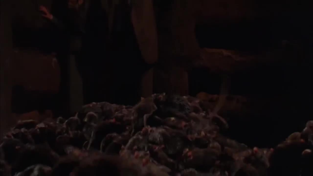 Extrait vidéo du film  Indiana Jones et la dernière croisade