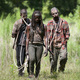 photo de la série The Walking Dead