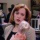 photo de la série X-Files : aux frontières du réel